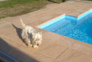 Terasa bazénu s bazénovým lem doplněným dlažbou